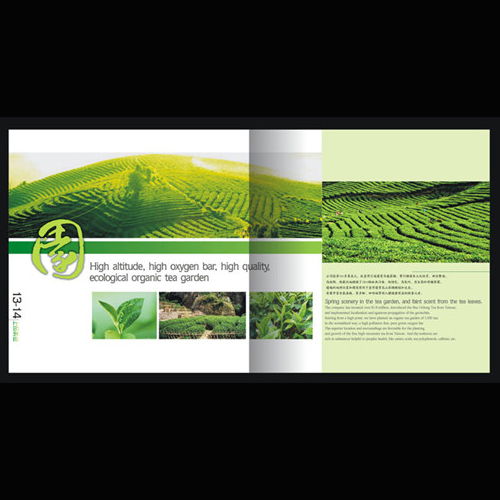 深圳產(chǎn)品圖冊與網(wǎng)站設(shè)計印刷服務(wù) 專業(yè)視覺呈現(xiàn)提升品牌價值